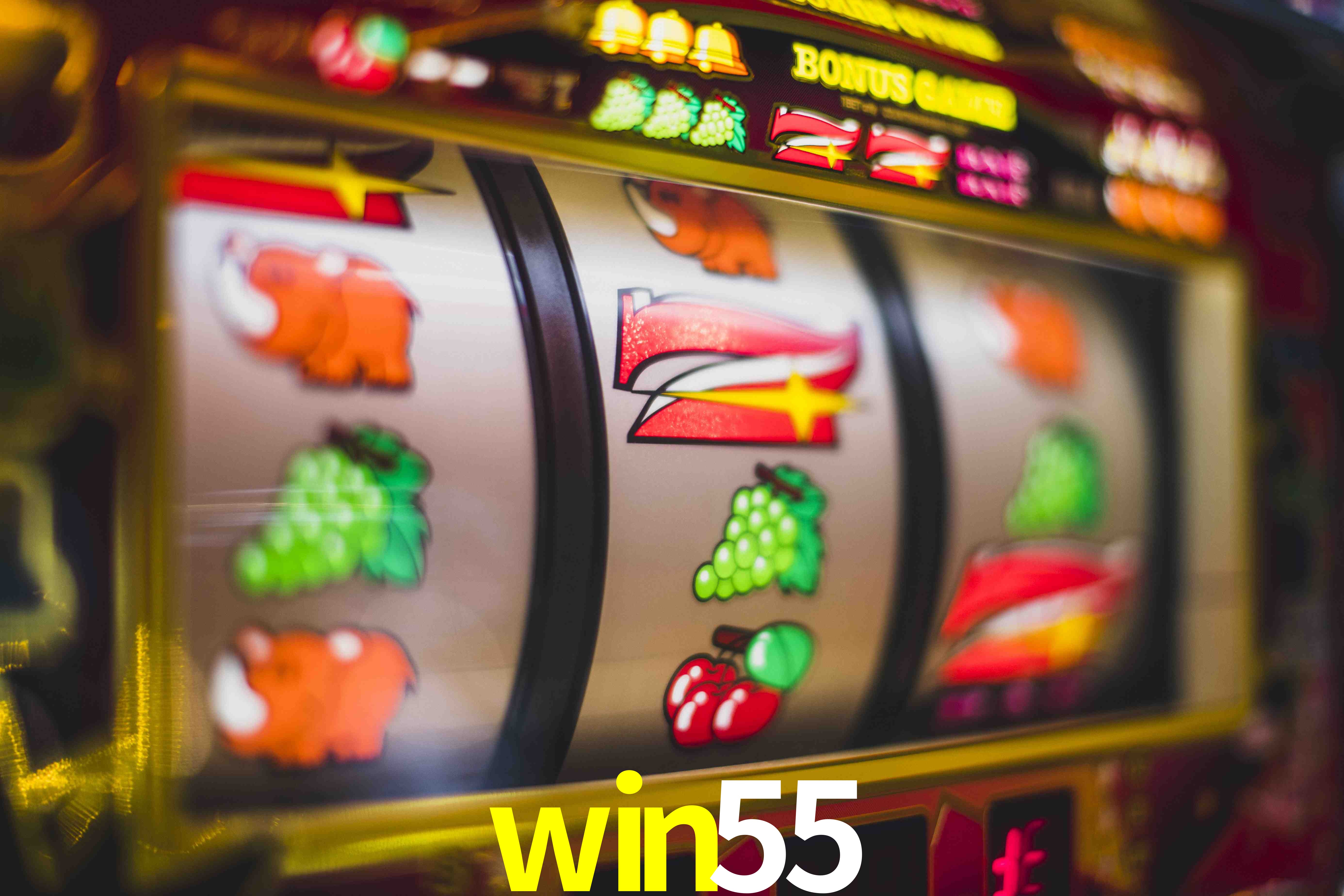Roulette Table win55